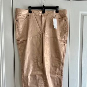 NWT: Land Bryant Super Stretch Skinny Pant